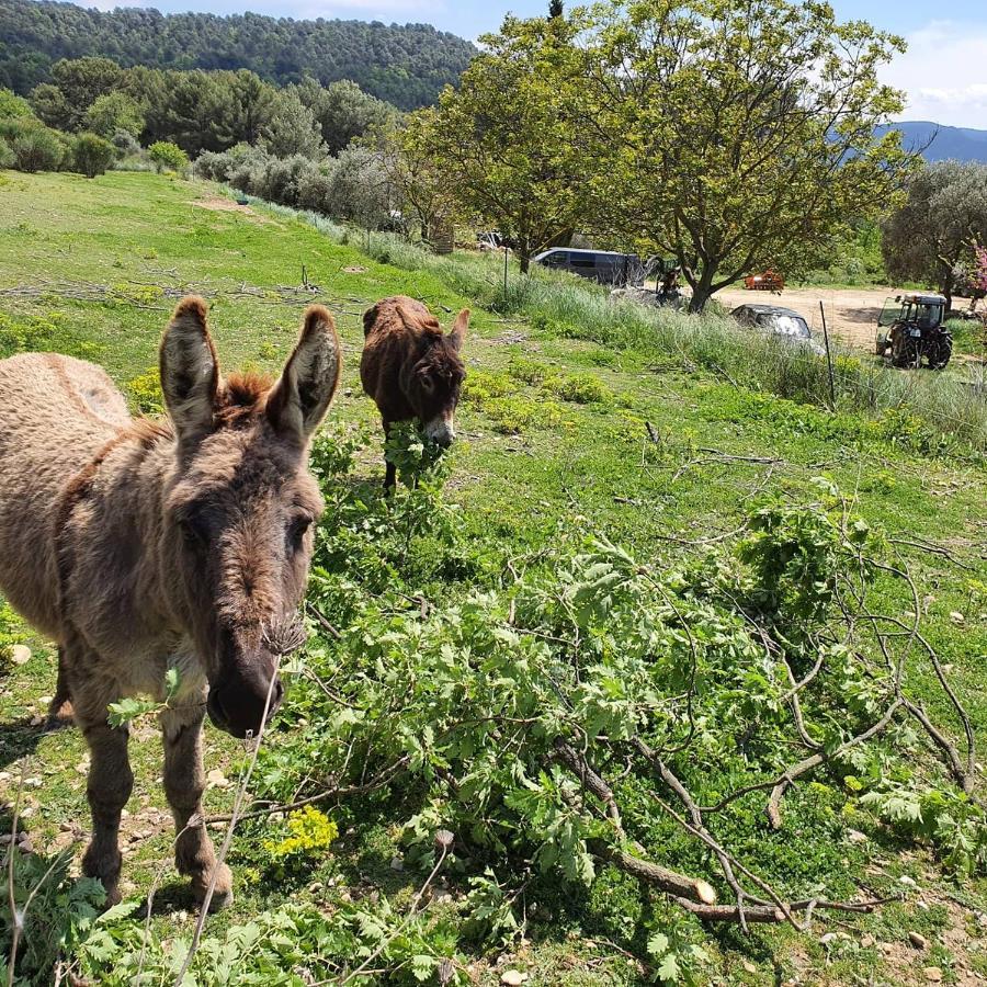Bastide Bellugue Maison D'Hotes Reseau Bienvenue A La Ferme A 3 Minutes De Lourmarin Cadenet Exterior foto