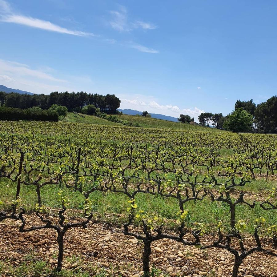 Bastide Bellugue Maison D'Hotes Reseau Bienvenue A La Ferme A 3 Minutes De Lourmarin Cadenet Exterior foto