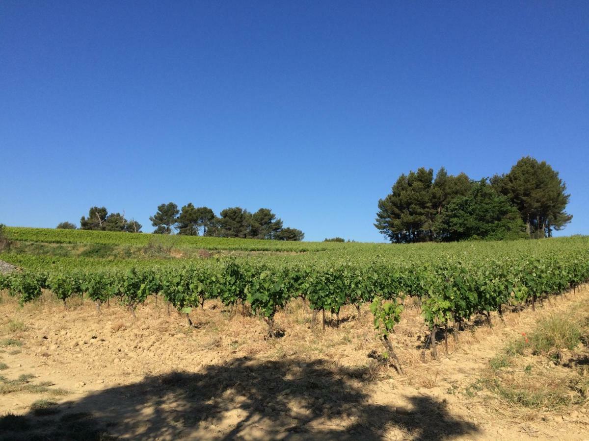 Bastide Bellugue Maison D'Hotes Reseau Bienvenue A La Ferme A 3 Minutes De Lourmarin Cadenet Exterior foto